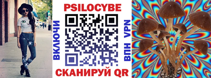 Псилоцибиновые грибы прущие грибы  Балей 